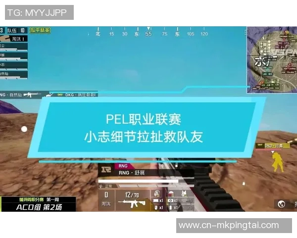 2026年3月份新闻和平精英深度解析RNG战队选手个人能力的全方位剖析与展现